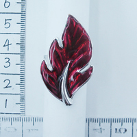 Ʒ-ָ