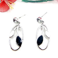 Fashion earrings