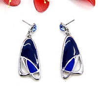 Fashion earrings