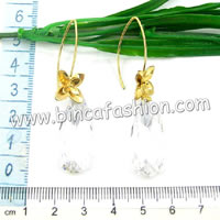 Fashion Zircon earrings