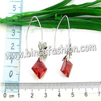 Fashion Zircon earrings