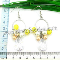 Fashion Zircon earrings