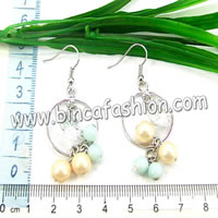 Alloy Zircon earrings