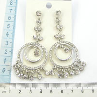 Fashion earrings